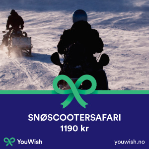 Gavetips: Snøscootersafari - Geilo