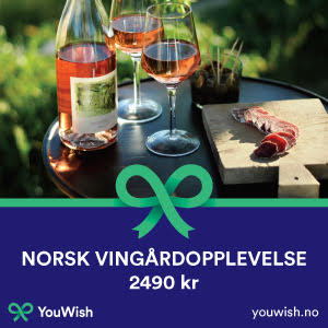 Gavetips: Norsk vingårdopplevelse