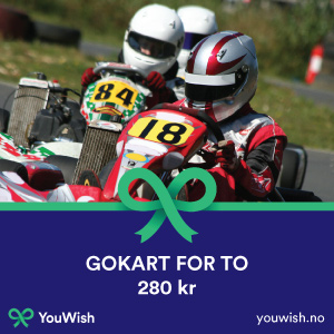 Gavetips: Gokart for to