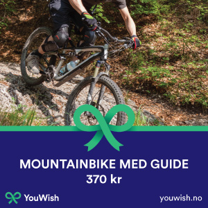 Gavetips: Mountainbike med guide