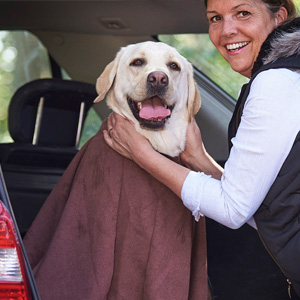 Gavetips: Doggy Bag - perfekt for våt og sølete hund