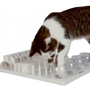 Gavetips: Aktiveringsleke Fun Board for katt