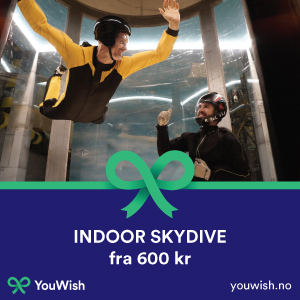 Gavetips: Prøv Indoor skydive :D 