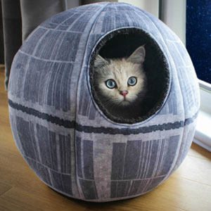 Gavetips: Star Wars katteseng
