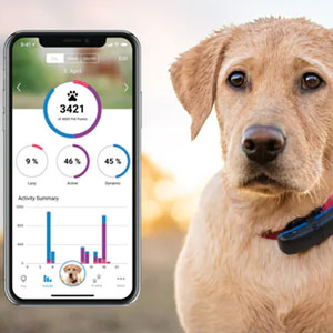 Gavetips: GPS-tracker til hund